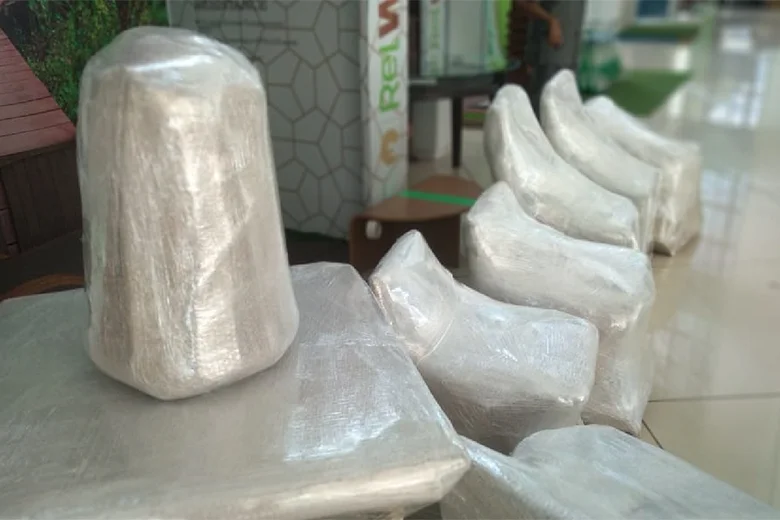 Car Transportation Services in Navi Mumbai