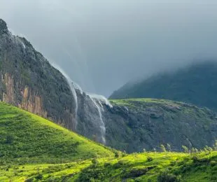 Relocation services in Nashik