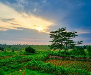 Map of Arunachal Pradesh